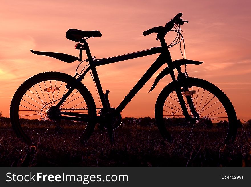 Bicycle silhouette and summer sunset