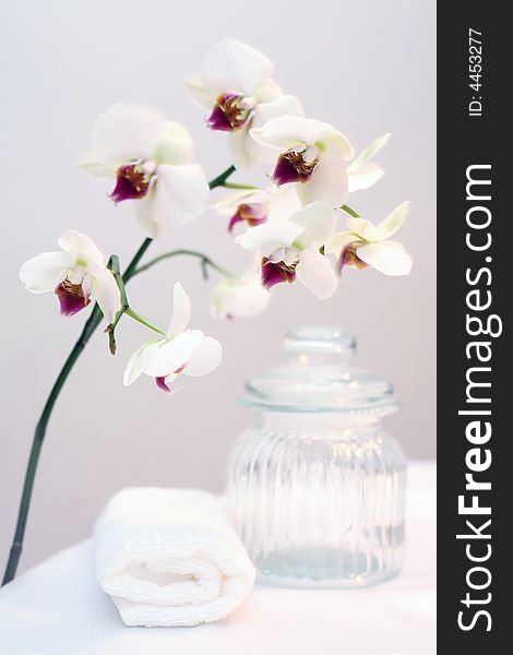 The still life with orchids, white towels and glass bottle. The still life with orchids, white towels and glass bottle