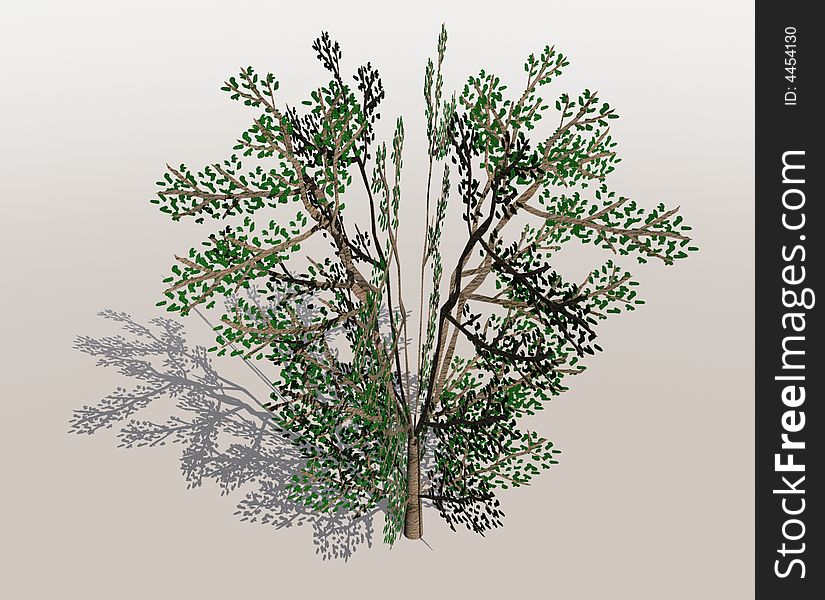 Rendering of a tree with shadow