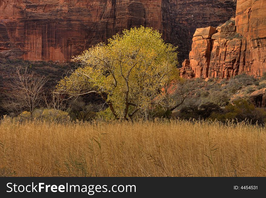 Zion Canyon