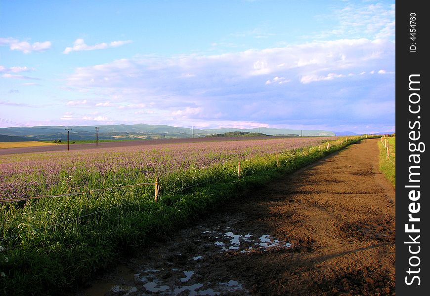 Czech landscape in summer with fieldpath