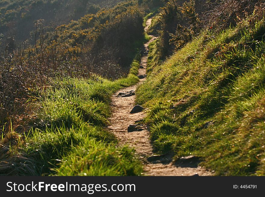 Path in the countryside in wales, evening light. Path in the countryside in wales, evening light