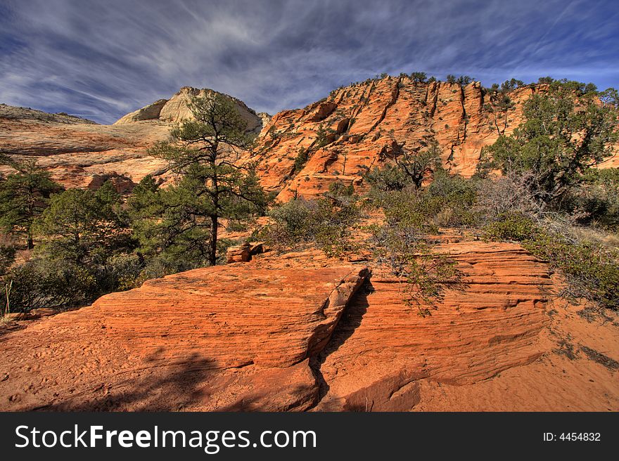 Zion National Park the checkerboard mesa