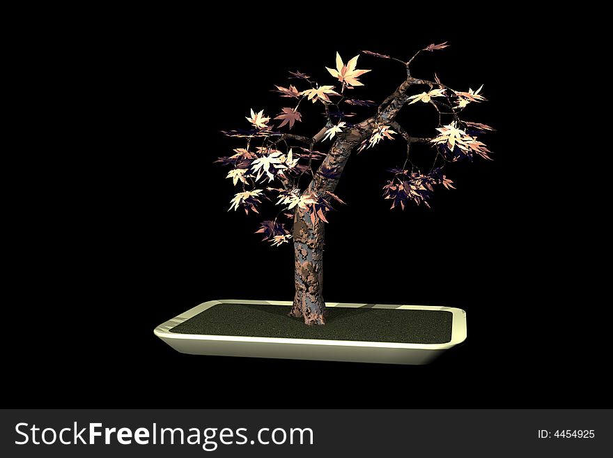 Chinese bonsai on black background. Chinese bonsai on black background.