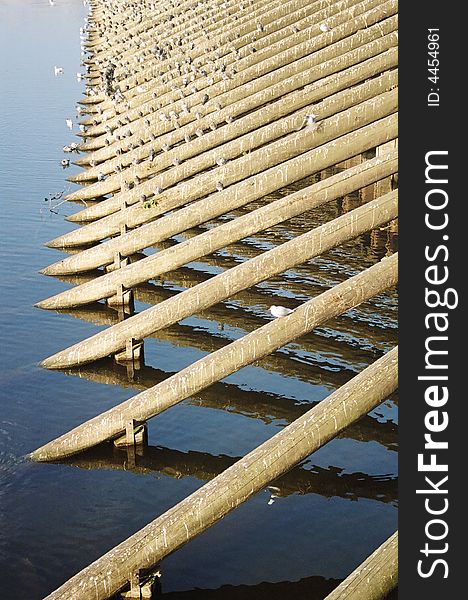 A dike on the river of Vltava, Czech Republic