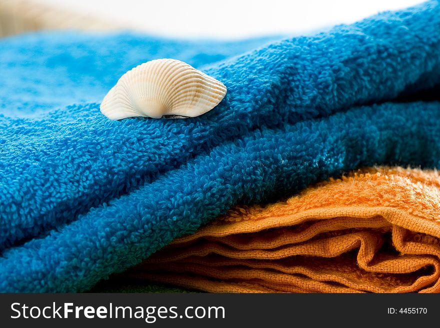 White shell on colored towels. White shell on colored towels.