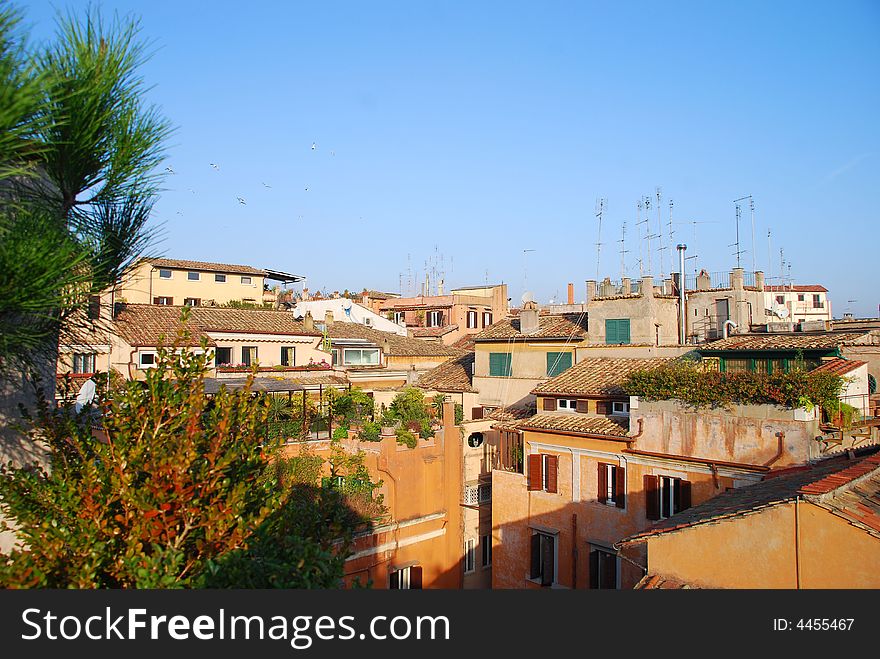The tiled rooftops of Rome, with gardens and antennas!