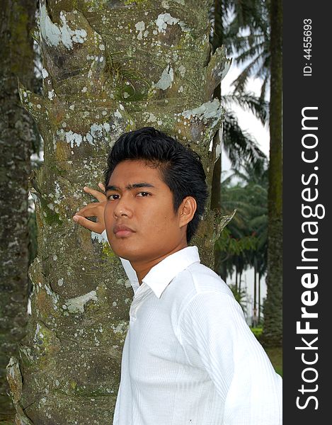 Portrait of an asian young man by the tree. Portrait of an asian young man by the tree.