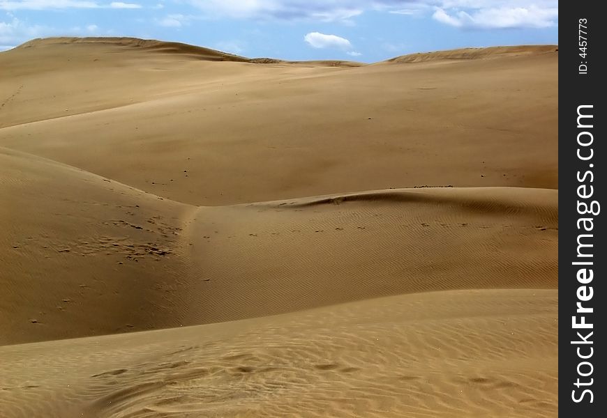 Sand Dunes in Sahara desert