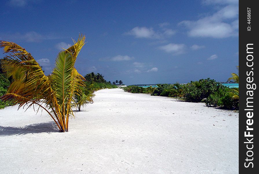 White sand beach in paradise island, maldives.