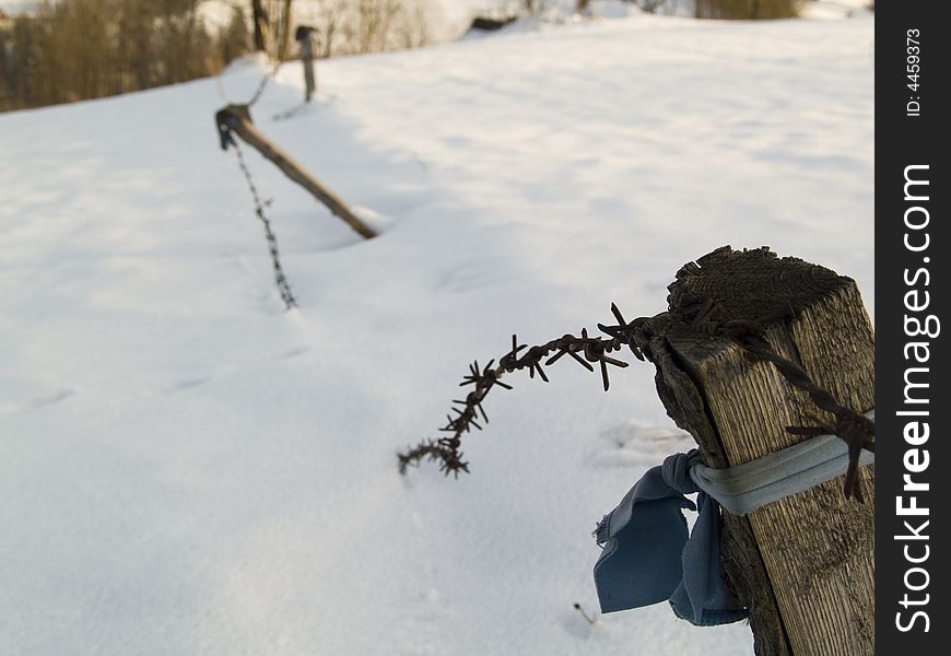 Wooden fence in winter