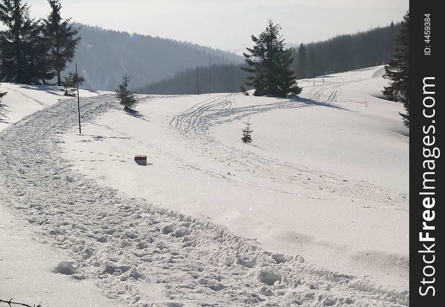 Mounatin Path - Winter