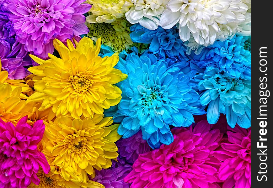 A photograph of a bunch of brightly colored flowers. A photograph of a bunch of brightly colored flowers