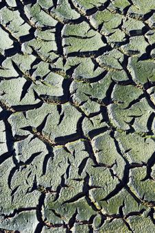 Cracked Mud Stock Images