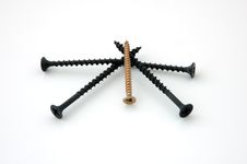 Screws. Royalty Free Stock Images