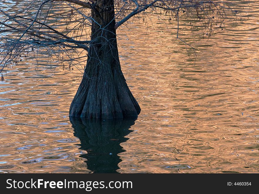 Sunrise light on reflecting water in Madrid's Retiro Park. Sunrise light on reflecting water in Madrid's Retiro Park.