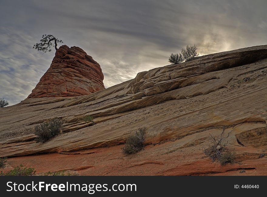 A small tree growing out of a hoodoo against an ominous sky. A small tree growing out of a hoodoo against an ominous sky.