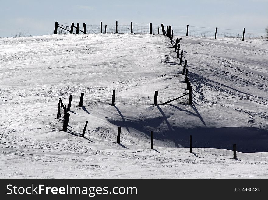 Fence in the Snow