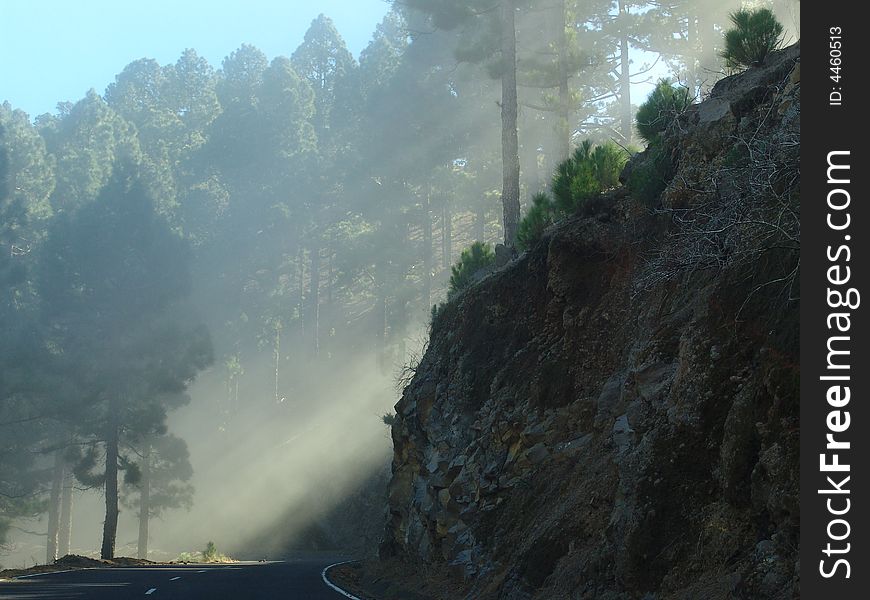 A view at a typical road at La Palma. A view at a typical road at La Palma.