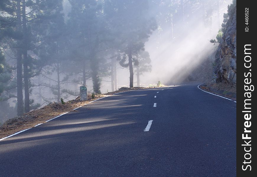 A view at a road at La Palma. A view at a road at La Palma.