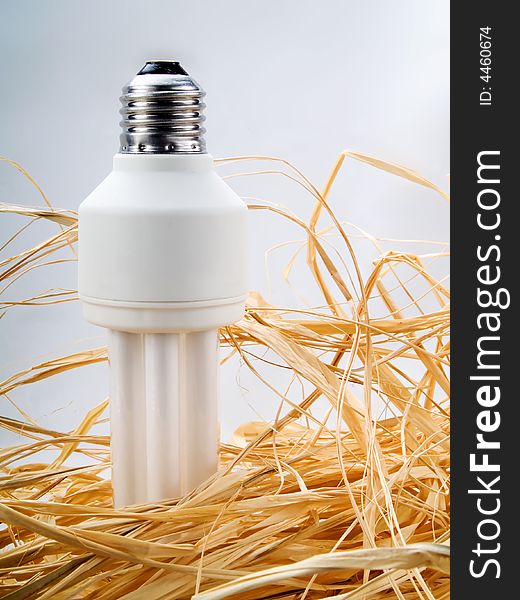 Low energy light bulb (environmental issues). Low energy light bulb (environmental issues)