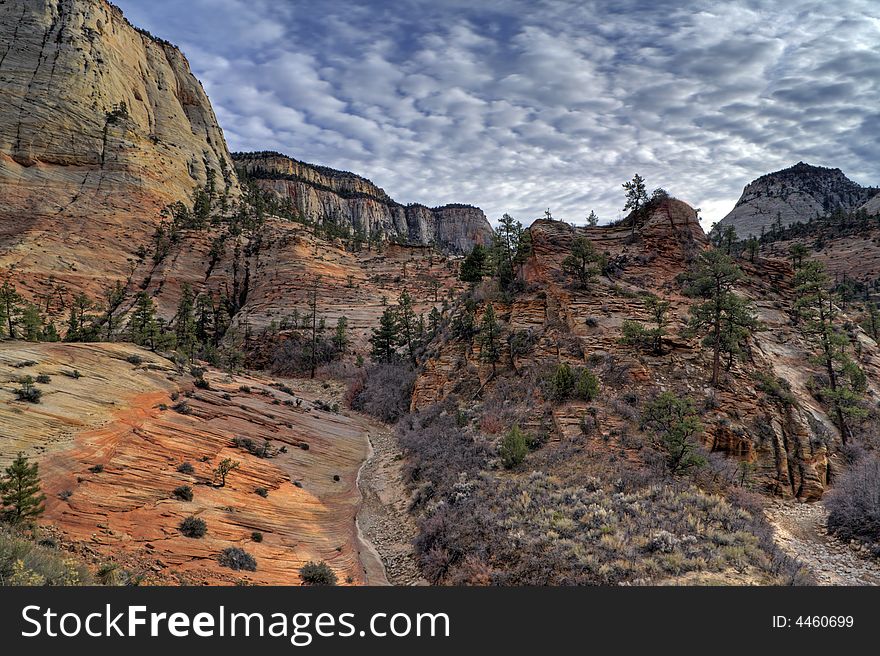 Autumn canyon cliffs in the checkerboard mesa in Zion National Park