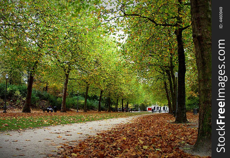 A brussels park amidst full autumn. A brussels park amidst full autumn