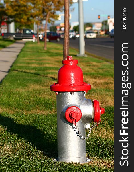 A fire hydrant on a grassy boulevard represents safety