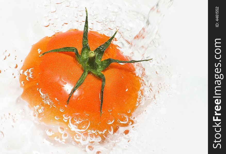 Tomato is being water washed on the white background. Tomato is being water washed on the white background