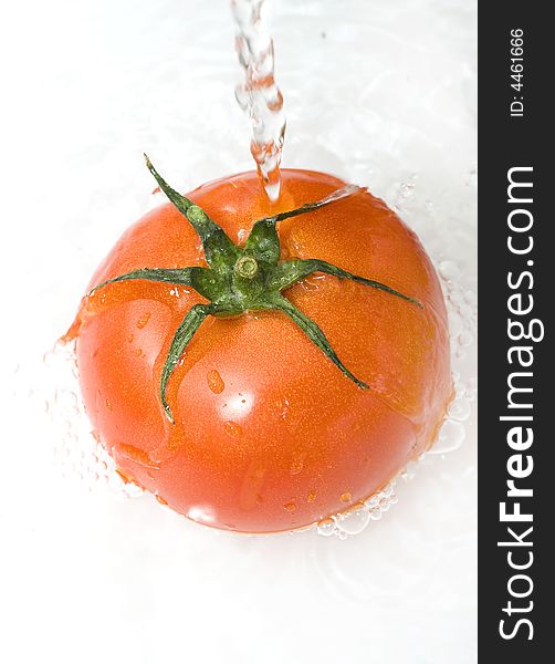 Tomato is being water washed on the white background. Tomato is being water washed on the white background