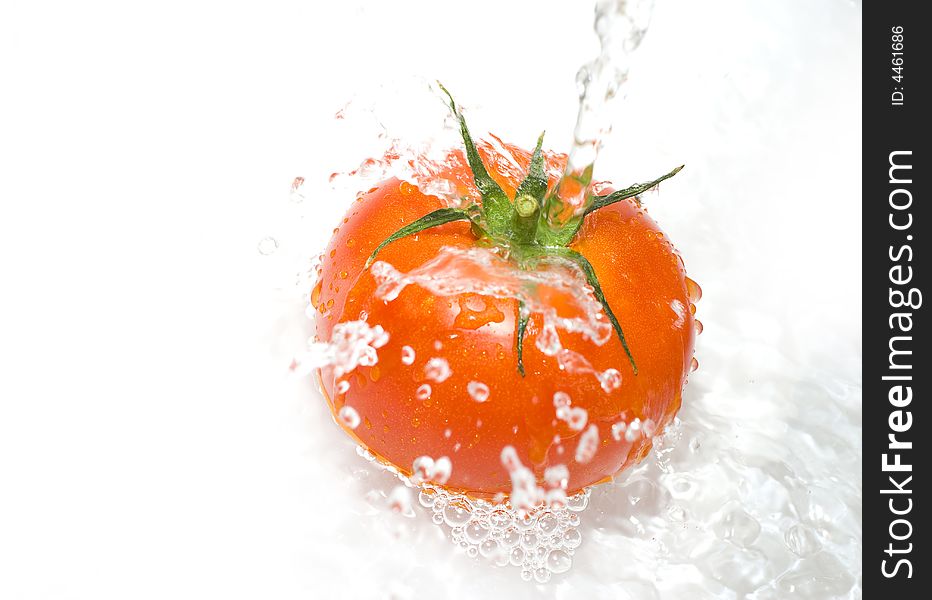 Tomato is being water washed on the white background. Tomato is being water washed on the white background