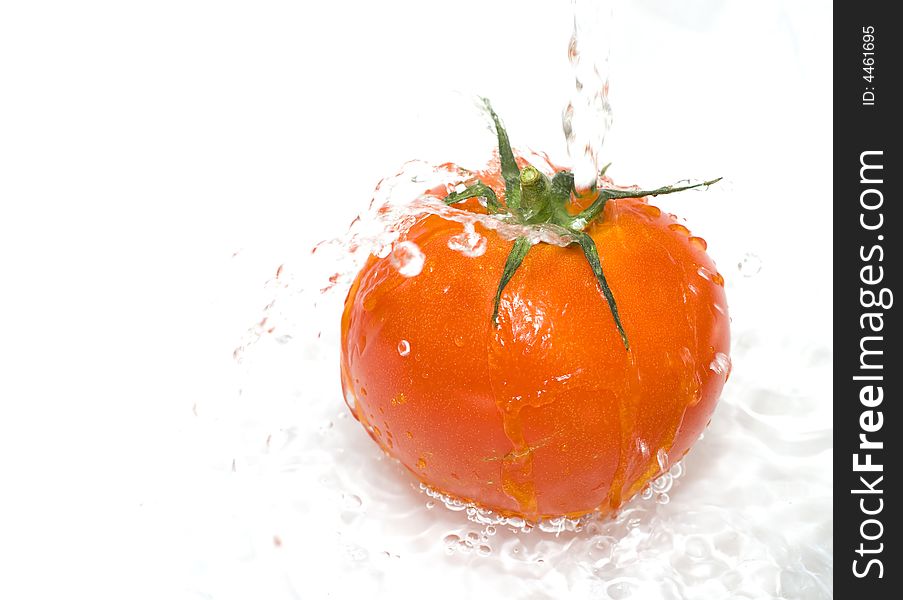 Tomato is being water washed on the white background. Tomato is being water washed on the white background