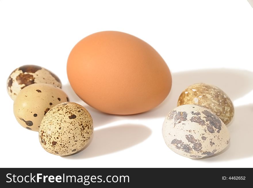 Quail and hen's egg isolated on white bacground