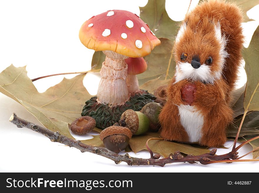 Toadstool, squirrel, acorn and some leaves, isolated on white background. Toadstool, squirrel, acorn and some leaves, isolated on white background.