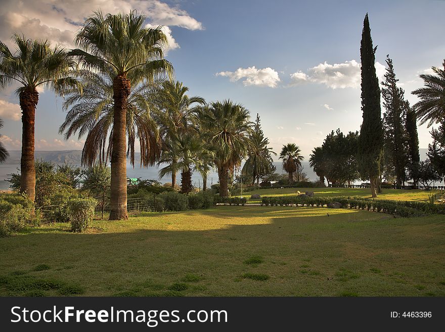 Charming beautiful park at a monastery on coast of lake Kineret in Israel. Charming beautiful park at a monastery on coast of lake Kineret in Israel