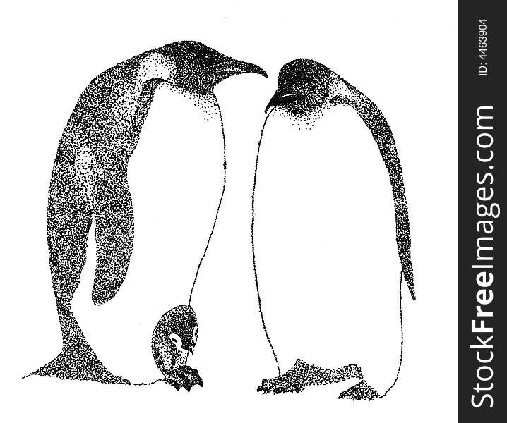 This is a penguins family。. This is a penguins family。