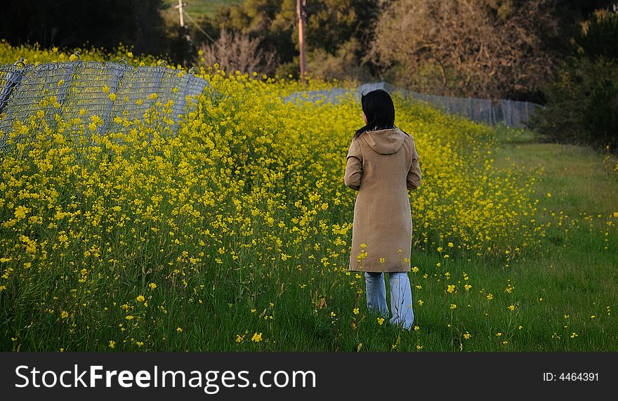 A graceful woman among the mustard flowers. A graceful woman among the mustard flowers