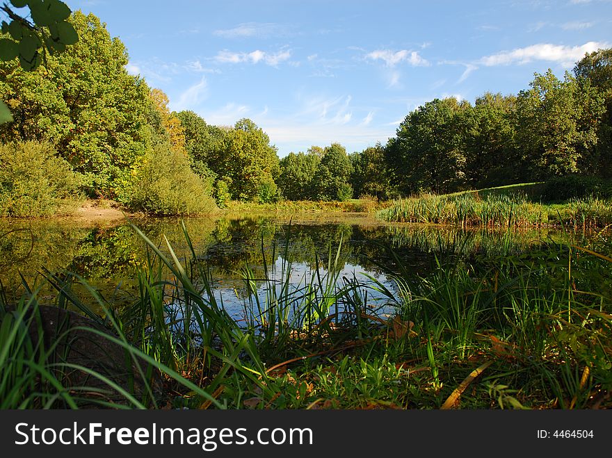 Autumn view of lake and forest