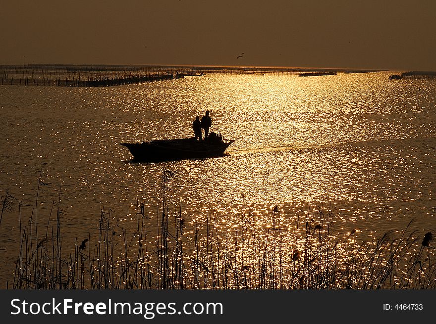 The boat on the Tai Lake under the sunset with the full fish. The boat on the Tai Lake under the sunset with the full fish.