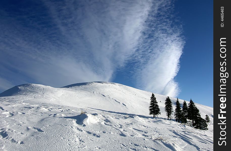 Winter Landscape On Carpathian Mountains