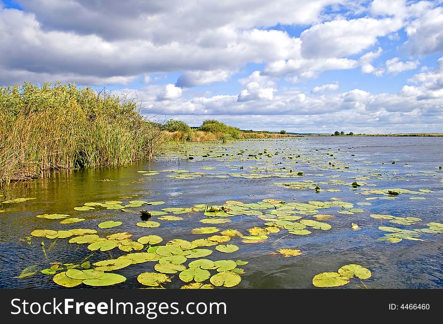 Beautiful and picturesque water landscape in summer