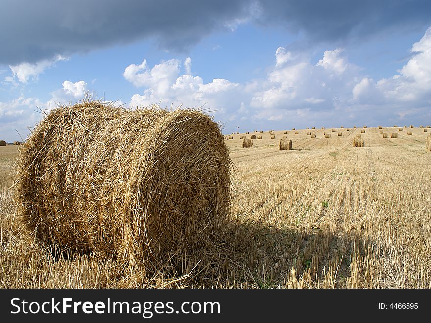 Hayfiel at country plant with blue cloudy skyes. Hayfiel at country plant with blue cloudy skyes