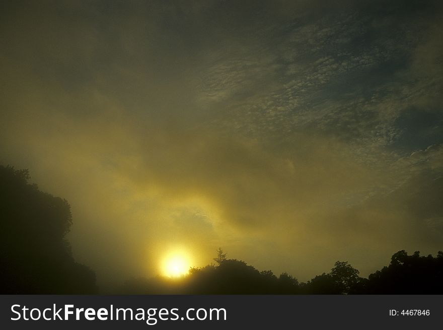 The skyline at sunrise. The sun rising over the forest through the fog