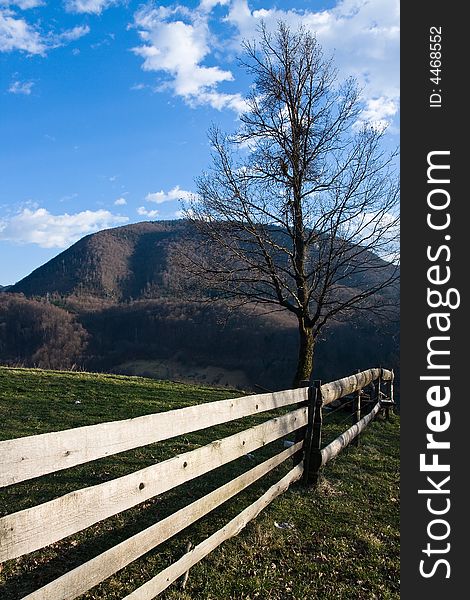 Single tree behind the fence and mountain in the distance. Single tree behind the fence and mountain in the distance