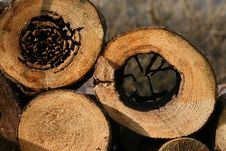 Wooden Logs Royalty Free Stock Photos Wooden Logs Royalty Free Stock Photos