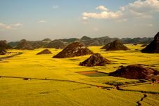 A Grand View Of Rape Fields With Hills Stock Photos A Grand View Of Rape Fields With Hills Stock Photos