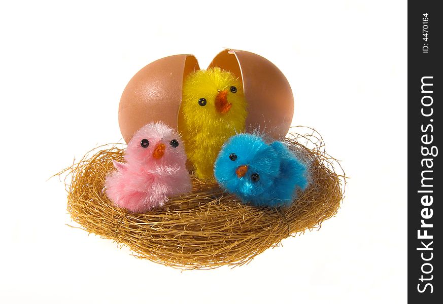 Easter chickens and egg in nest