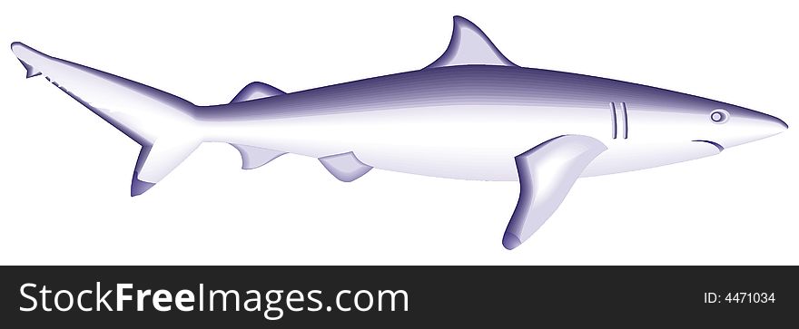 Art illustration of a shark