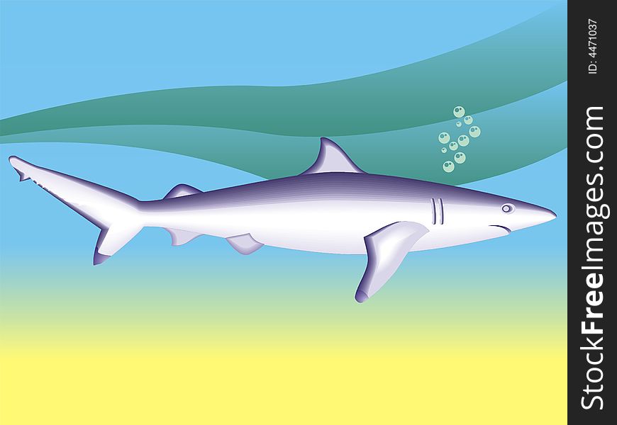 Art illustration: background with a shark