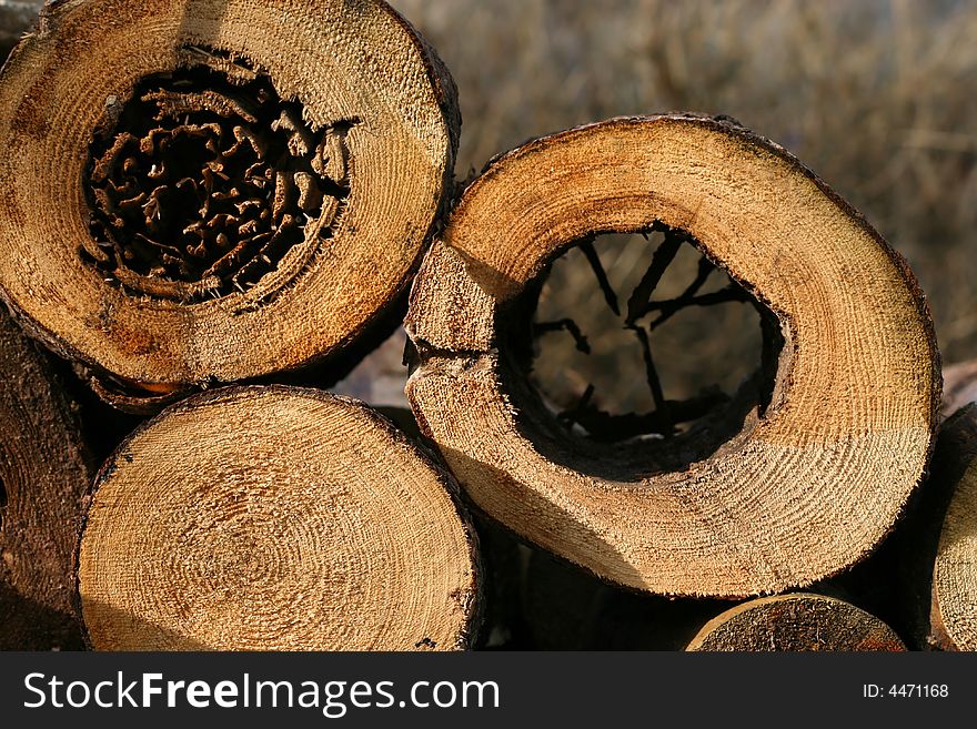 Wooden logs prepared for heating